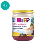 6x HiPP Blueberry in Apple-Yogurt-Muesli